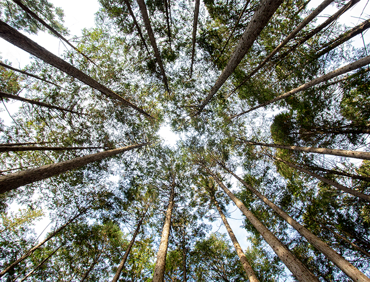マツコの知らない世界